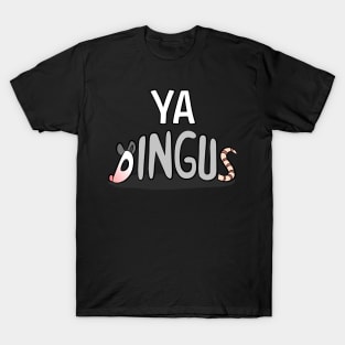 ya dingus T-Shirt